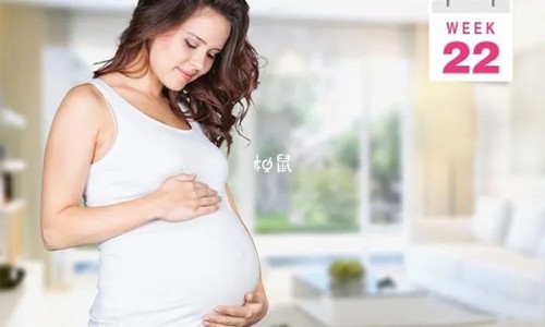 三高治疗仪什么牌子好-三高治疗仪腕表功效网三高治疗仪腕表的疗效知识网站,分享三高治疗仪多少钱合适大全